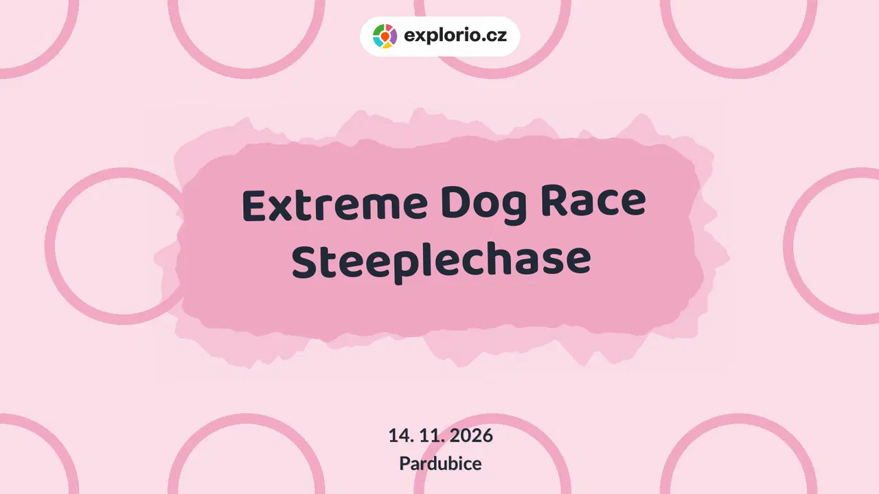 Extreme Dog Race Steeplechase – sport a Pohyb, Pardubice