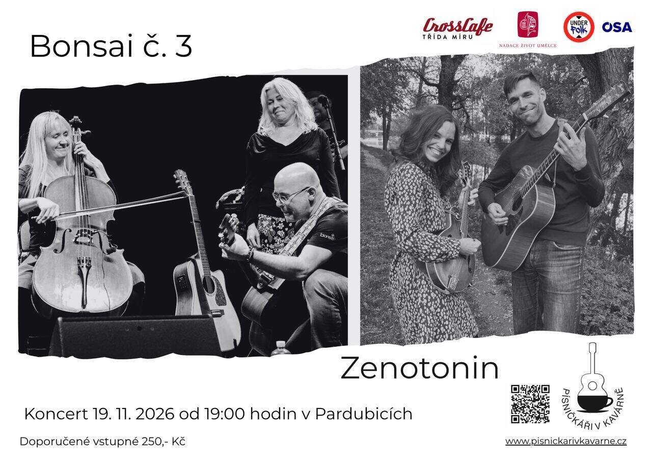 Bonsai č. 3 a Zenotonin – divadlo, Hudba a Kino, Pardubice – fotka 2