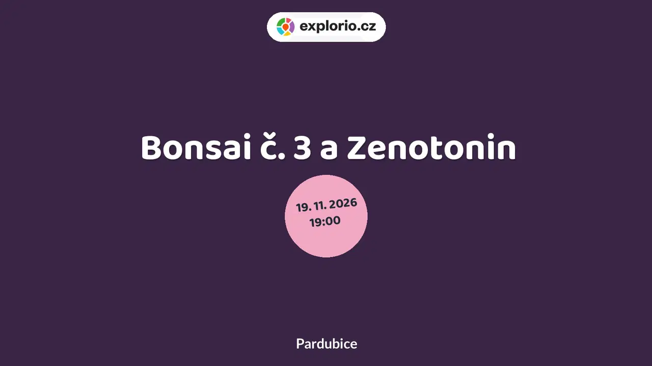 Bonsai č. 3 a Zenotonin – divadlo, Hudba a Kino, Pardubice