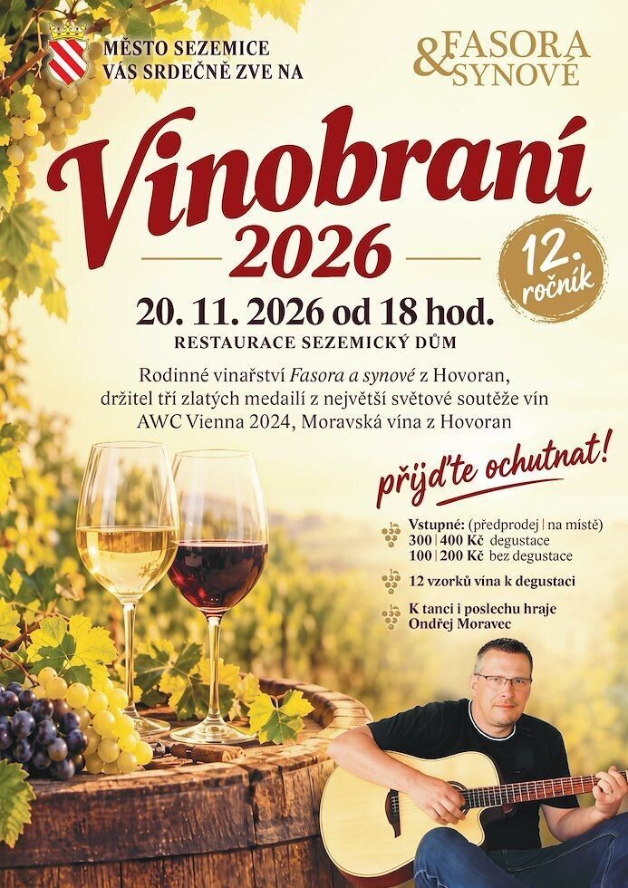 Vinobraní - 12. ročník – festivaly a Slavnosti, Sezemice – fotka 2