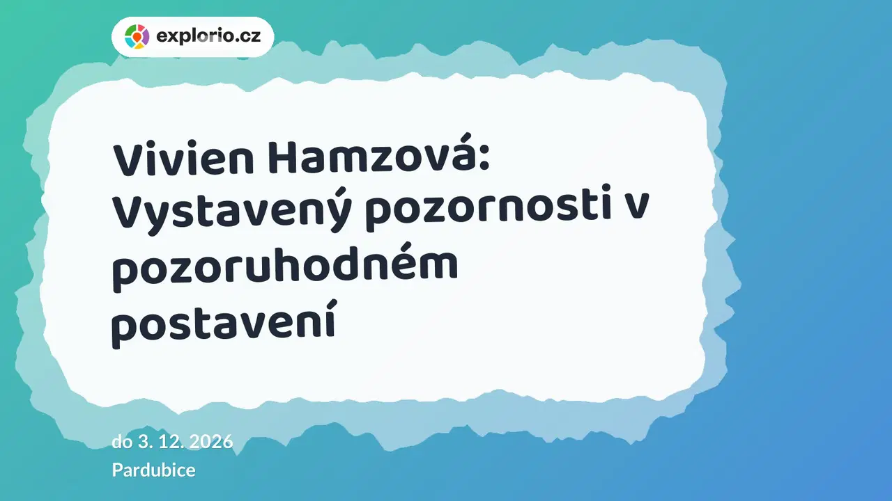 Vivien Hamzová: Vystavený pozornosti v pozoruhodném postavení – prohlídky a Muzea, Pardubice