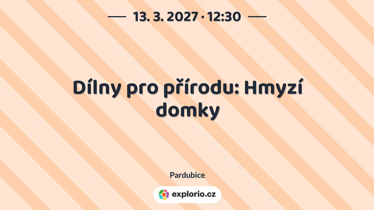 Dílny pro přírodu: Hmyzí domky – tvořivé dílny a Workshopy, Pardubice