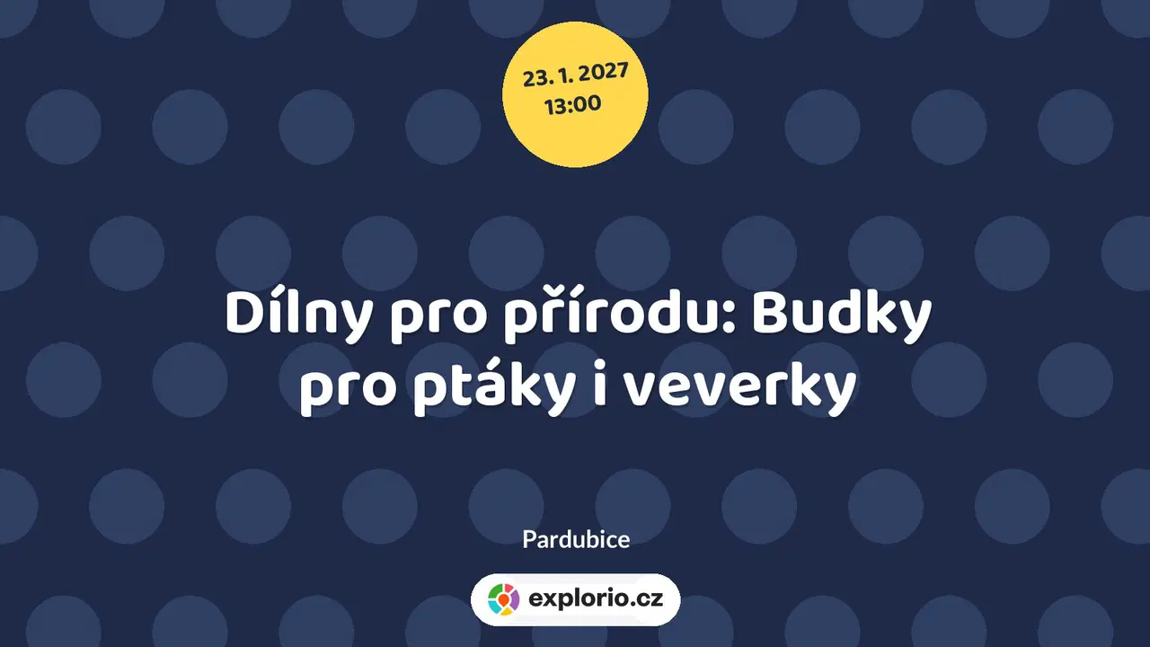 Dílny pro přírodu: Budky pro ptáky i veverky – tvořivé dílny a Workshopy, Pardubice