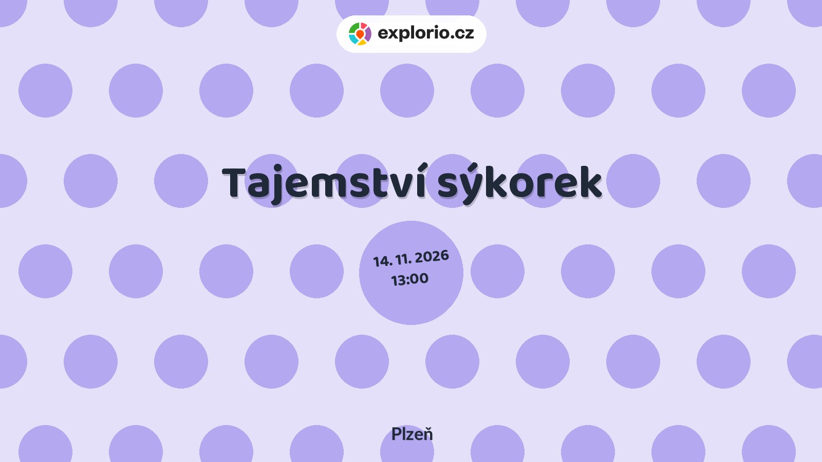 Tajemství sýkorek – prohlídky a Muzea, Plzeň