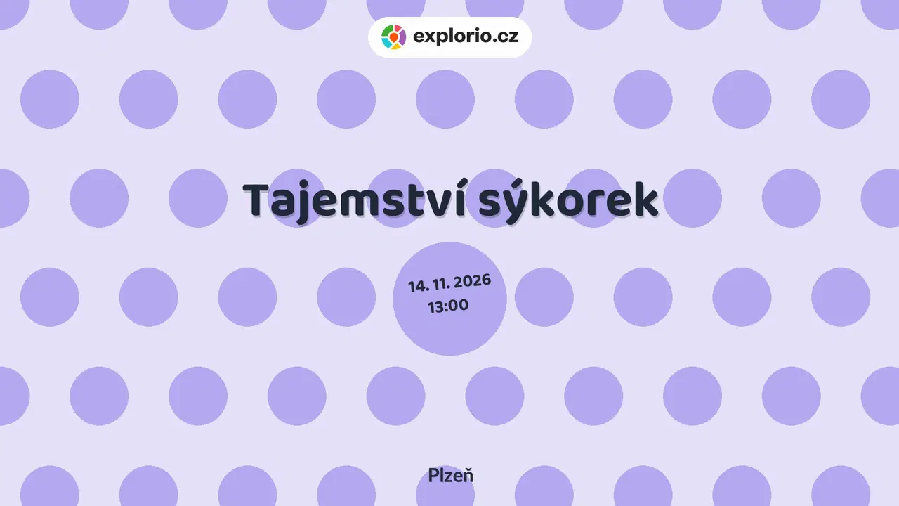 Tajemství sýkorek – prohlídky a Muzea, Plzeň