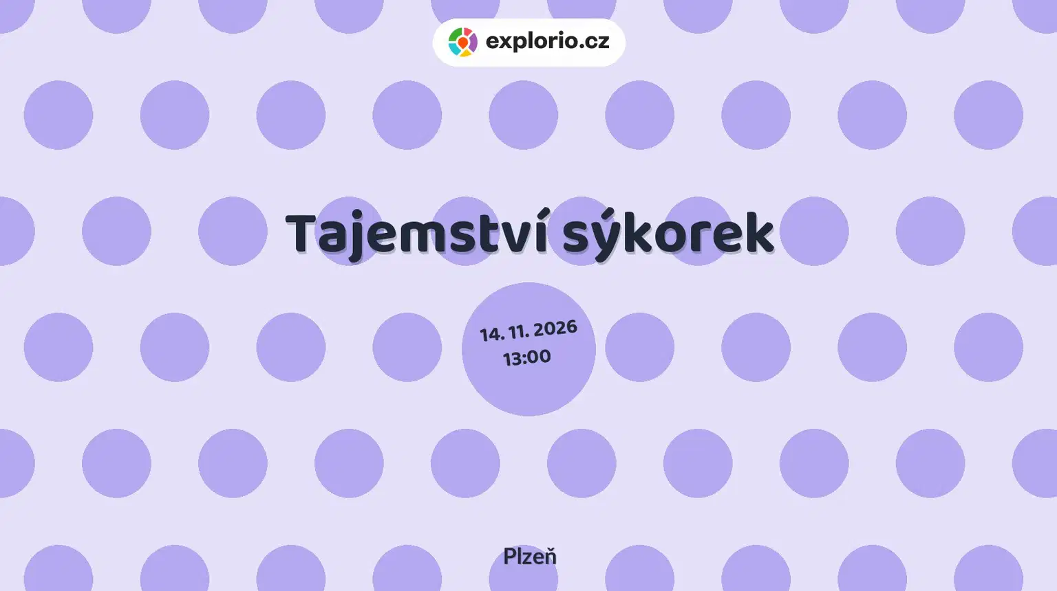 Tajemství sýkorek – prohlídky a Muzea, Plzeň