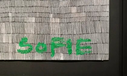 Sofie Švejdová: 700 000 čárek – prohlídky a Muzea, Plzeň – fotka 2