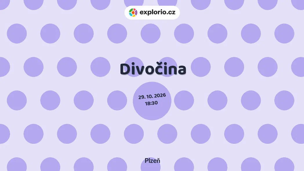 Divočina – divadlo, Hudba a Kino, Plzeň