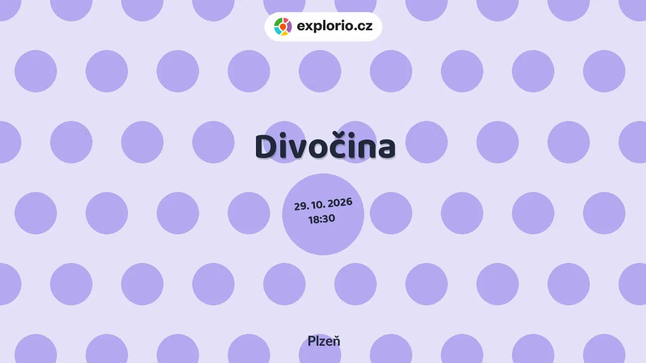 Divočina – divadlo, Hudba a Kino, Plzeň