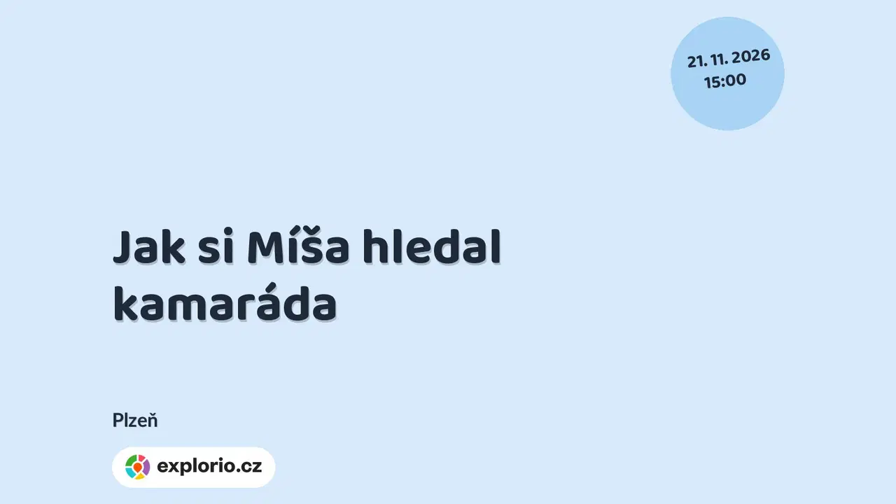 Jak si Míša hledal kamaráda – divadlo, Hudba a Kino, Plzeň