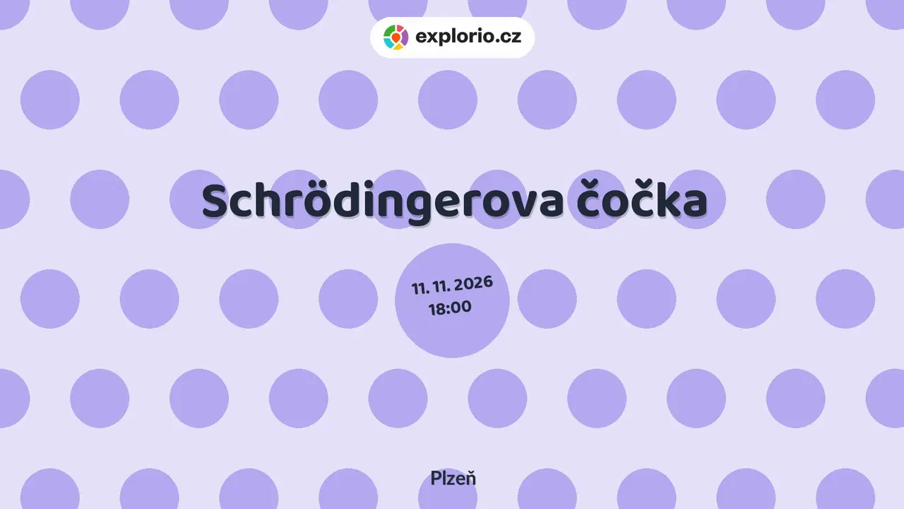 Schrödingerova čočka – divadlo, Hudba a Kino, Plzeň