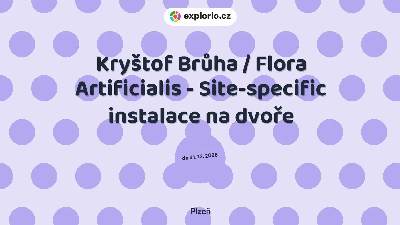 Kryštof Brůha / Flora Artificialis - Site-specific instalace na dvoře – prohlídky a Muzea, Plzeň