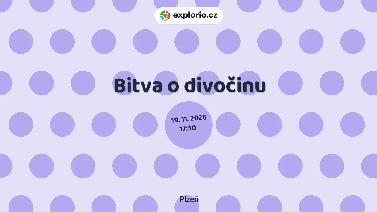 Bitva o divočinu – prohlídky a Muzea, Plzeň