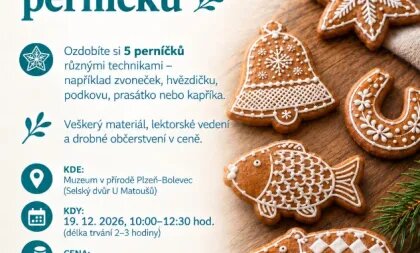 Vánoční zdobení perníčků (workshop) – tvořivé dílny a Workshopy, Plzeň – fotka 2