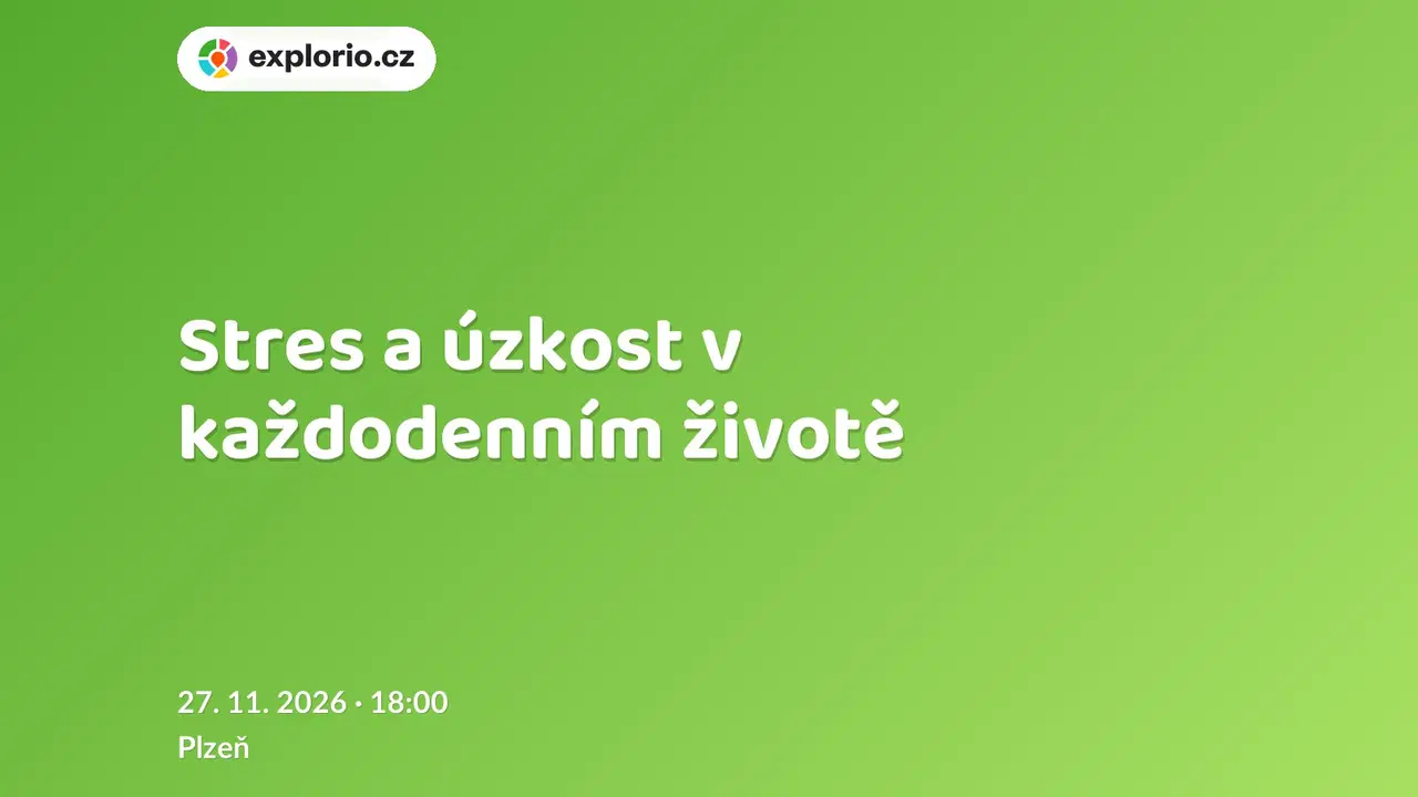Stres a úzkost v každodenním životě – prohlídky a Muzea, Plzeň