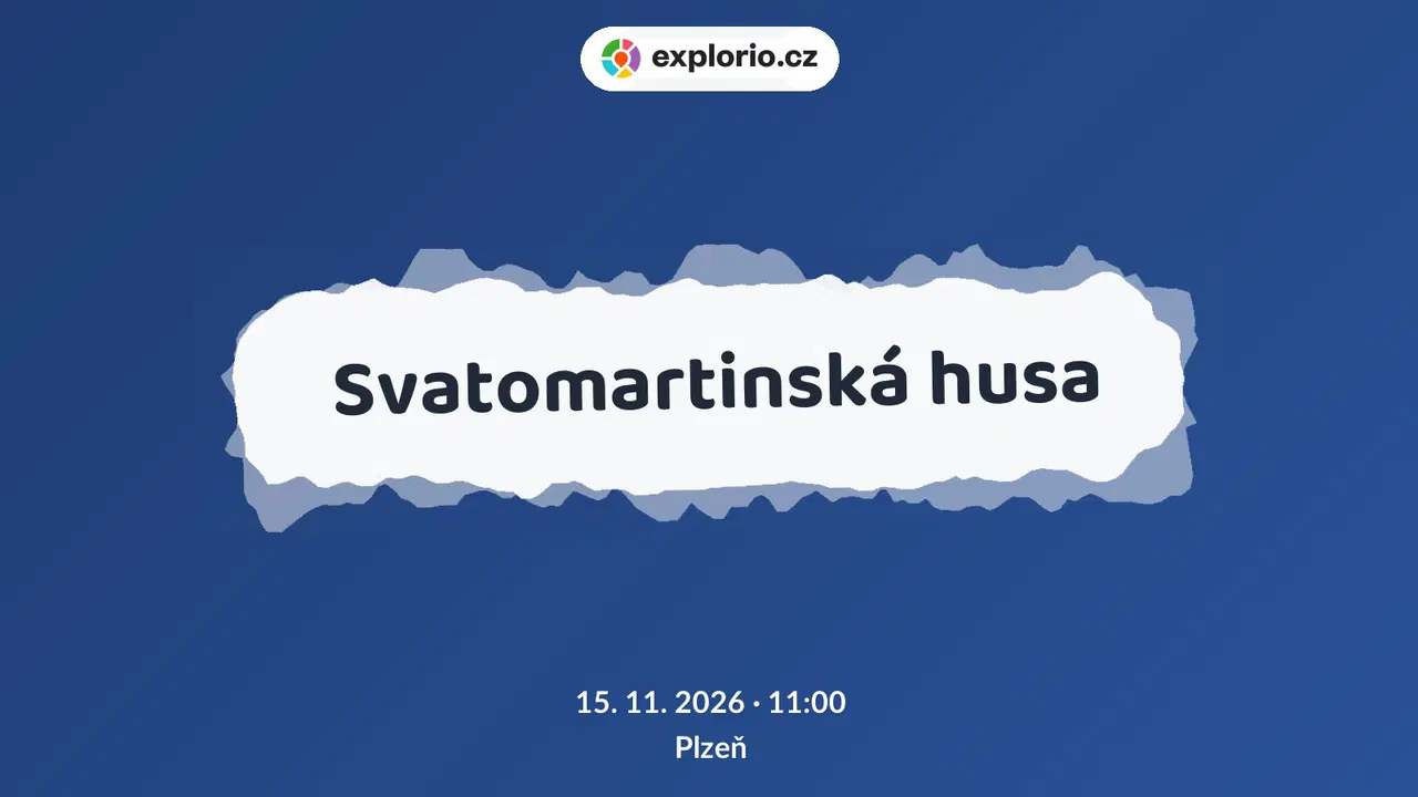 Svatomartinská husa – festivaly a Slavnosti, Plzeň