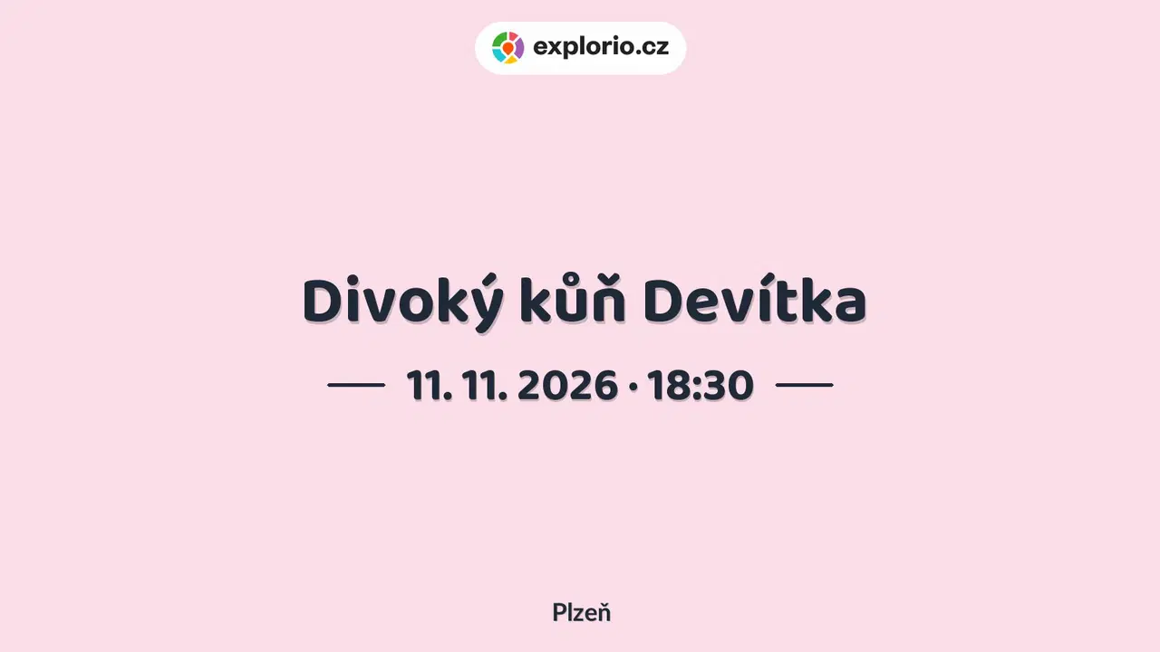 Divoký kůň Devítka – divadlo, Hudba a Kino, Plzeň