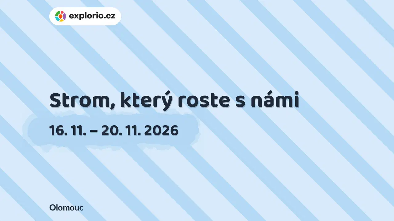 Strom, který roste s námi – tvořivé dílny a Workshopy, Olomouc