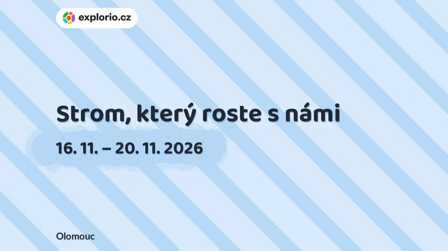 Strom, který roste s námi – tvořivé dílny a Workshopy, Olomouc