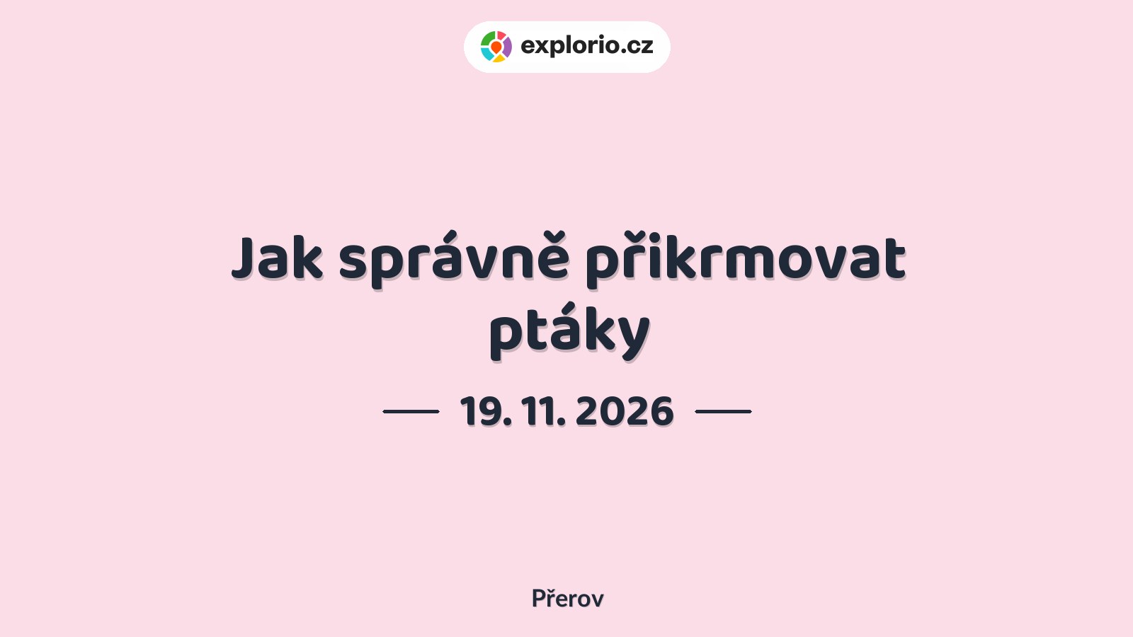 Jak správně přikrmovat ptáky – příroda a Zvířátka, Přerov