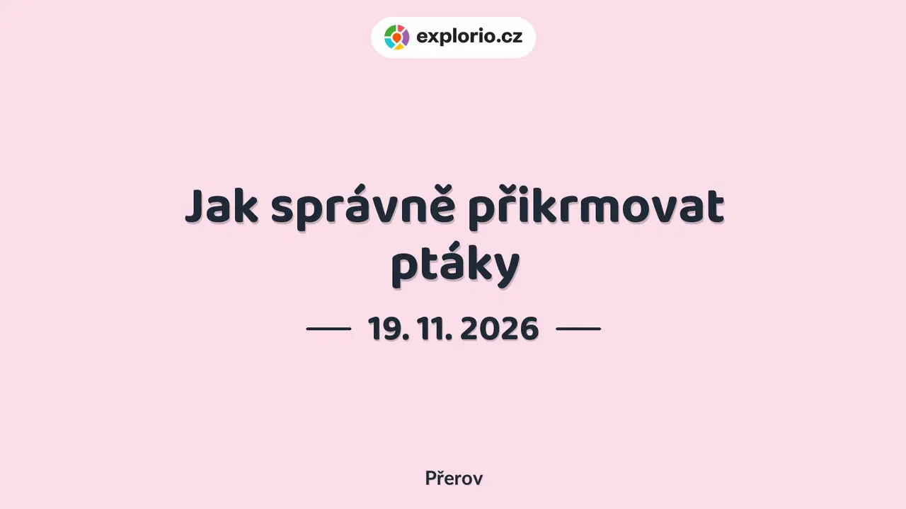 Jak správně přikrmovat ptáky – příroda a Zvířátka, Přerov