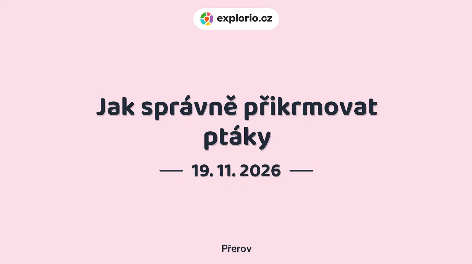Jak správně přikrmovat ptáky – příroda a Zvířátka, Přerov