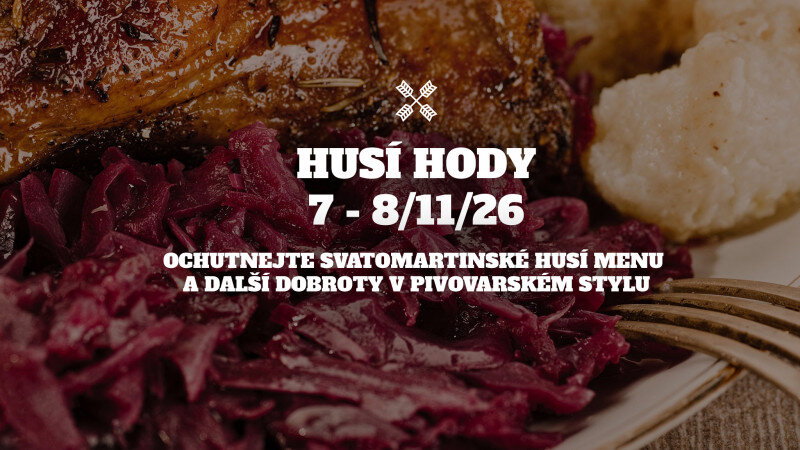 Husí hody v Twinbergu – festivaly a Slavnosti, Olomouc – fotka 2