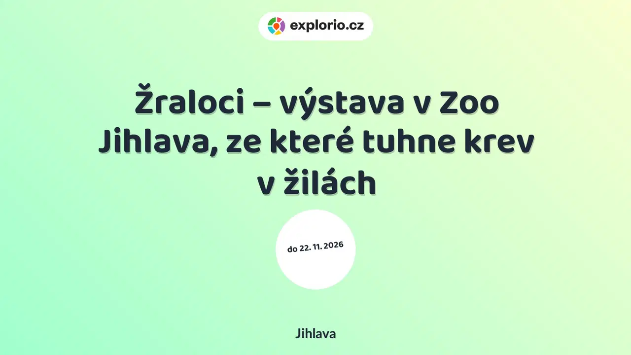 Žraloci – výstava v Zoo Jihlava, ze které tuhne krev v žilách – prohlídky a Muzea, Jihlava