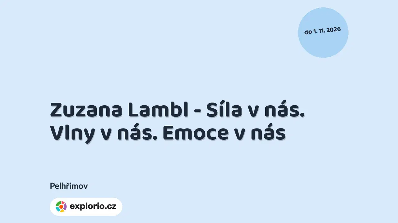 Zuzana Lambl - Síla v nás. Vlny v nás. Emoce v nás – prohlídky a Muzea, Pelhřimov