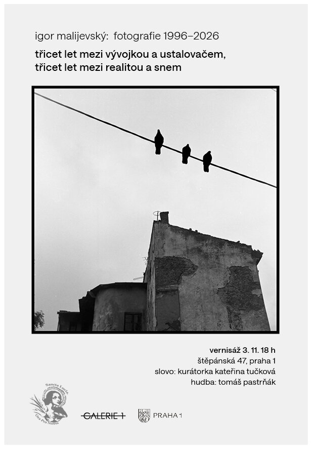 Igor Malijevský: Fotografie 1996–2026 – vernisáž – prohlídky a Muzea, Praha – fotka 2