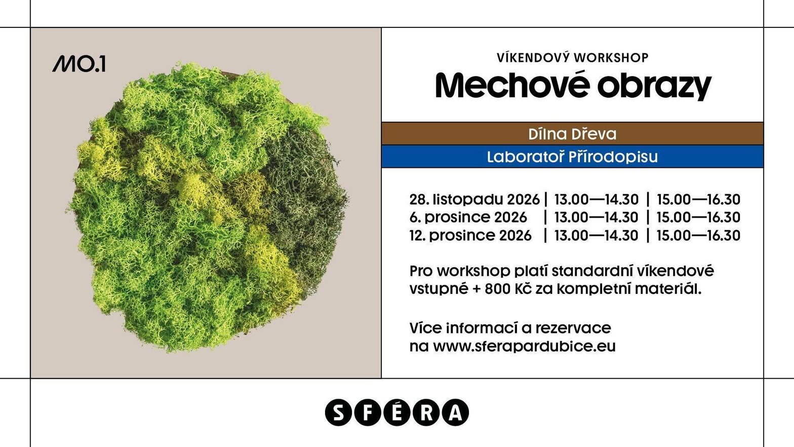 Mechové obrazy – tvořivé dílny a Workshopy, Pardubice – fotka 2