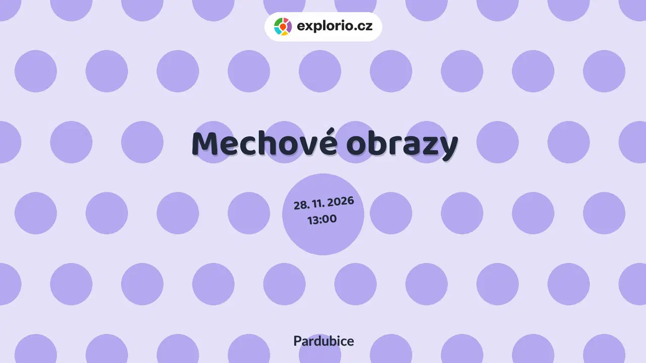 Mechové obrazy – tvořivé dílny a Workshopy, Pardubice