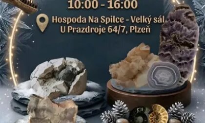 Předvánoční Minerál-fest Plzeň 2026 – prohlídky a Muzea, Plzeň – fotka 2