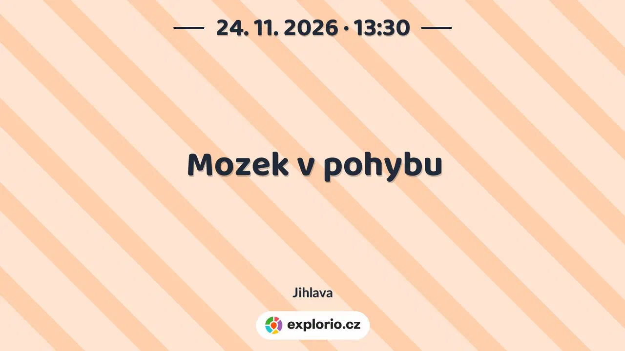 Mozek v pohybu – tvořivé dílny a Workshopy, Jihlava