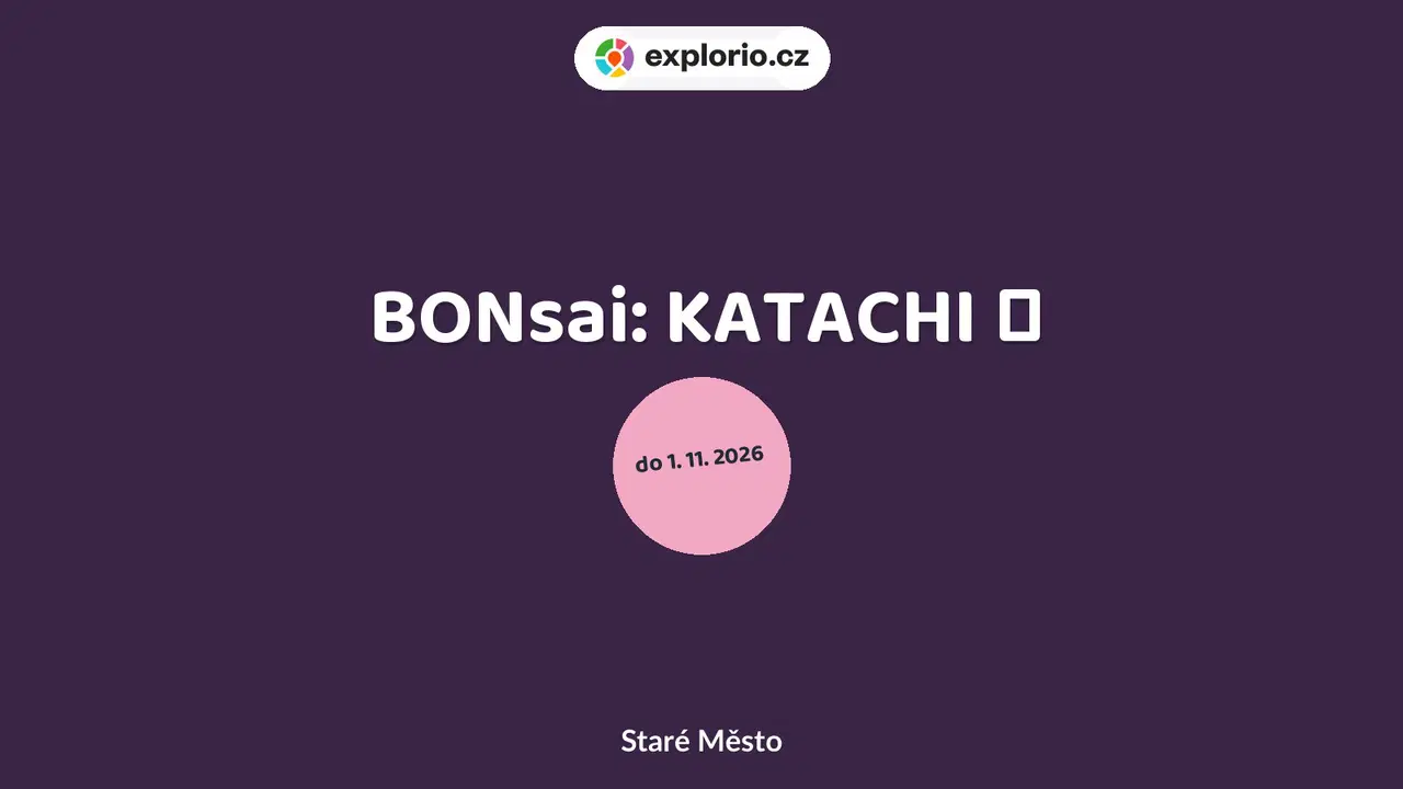 BONsai: KATACHI 形 – prohlídky a Muzea, Staré Město