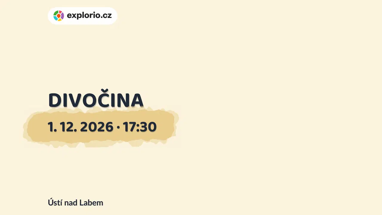 DIVOČINA – divadlo, Hudba a Kino, Ústí nad Labem