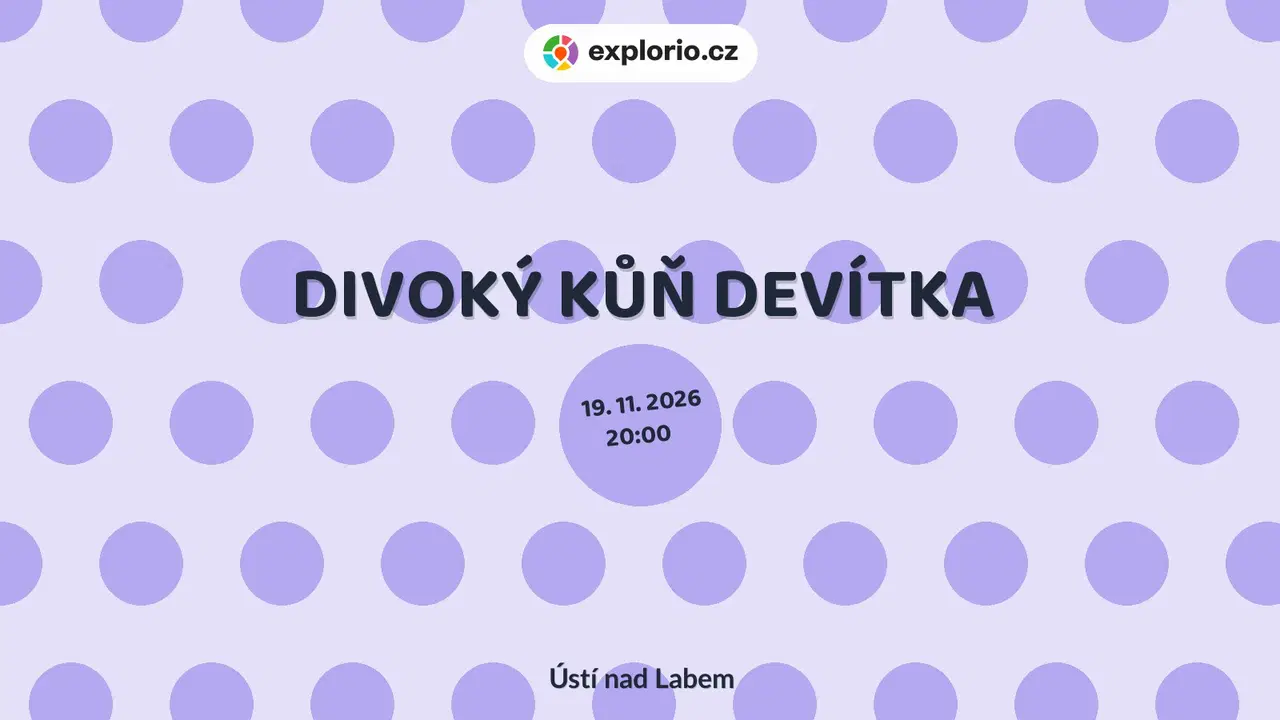 DIVOKÝ KŮŇ DEVÍTKA – divadlo, Hudba a Kino, Ústí nad Labem