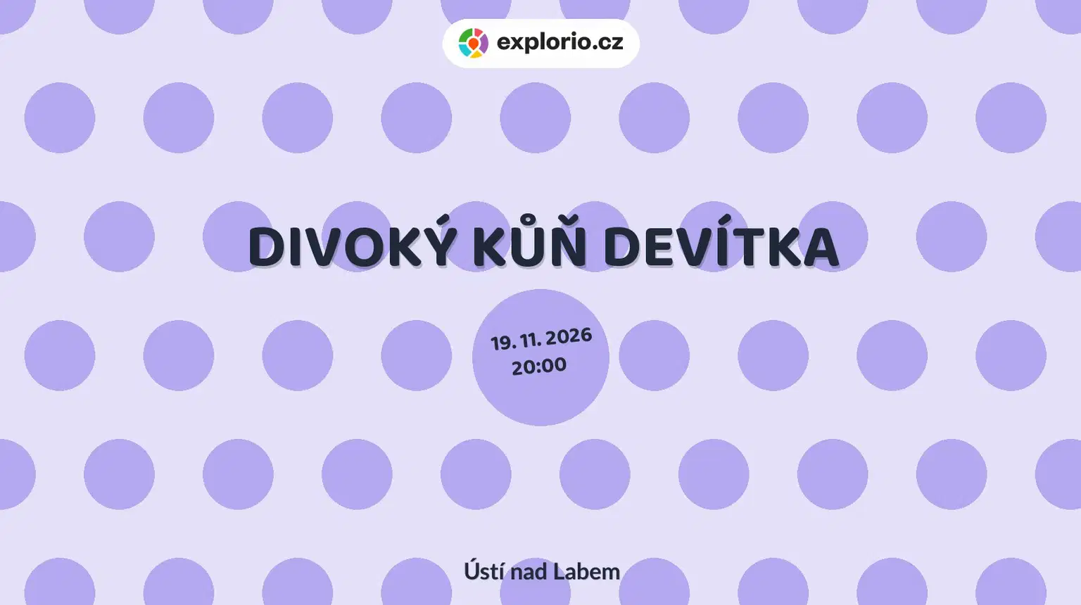 DIVOKÝ KŮŇ DEVÍTKA – divadlo, Hudba a Kino, Ústí nad Labem