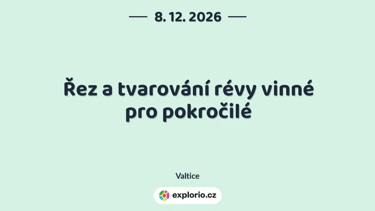 Řez a tvarování révy vinné pro pokročilé – tvořivé dílny a Workshopy, Valtice