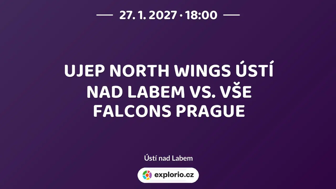 UJEP NORTH WINGS ÚSTÍ NAD LABEM VS. VŠE FALCONS PRAGUE – sport a Pohyb, Ústí nad Labem