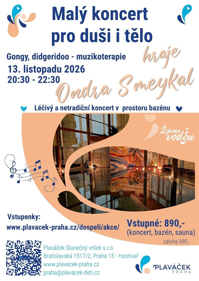 Malý koncert pro duši i tělo – Ondra Smeykal – divadlo, Hudba a Kino, Praha – fotka 2