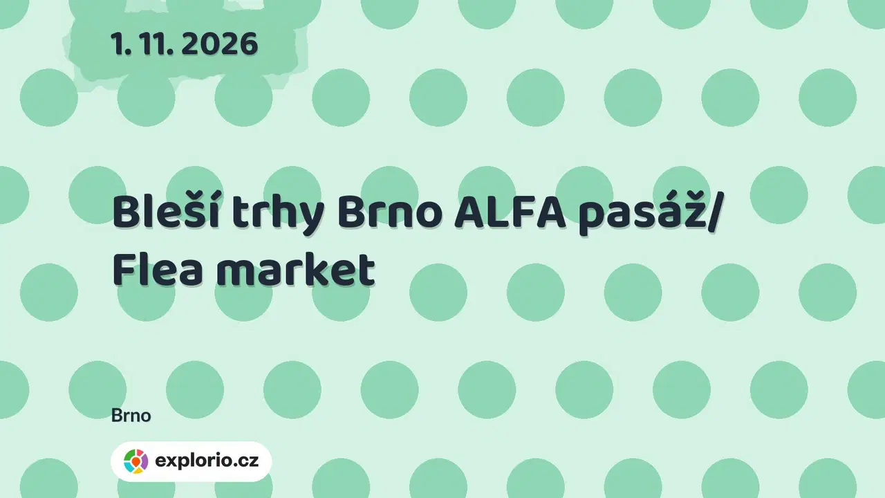 Bleší trhy Brno ALFA pasáž/ Flea market – festivaly a Slavnosti, Brno